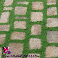 gardening sri lanka landscaping courtyard