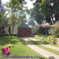 gardening sri lanka landscaping buffalo grass