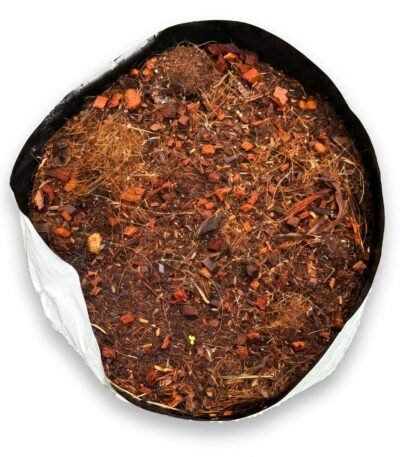 Grow Bag (20 x 20) for planting - view 2