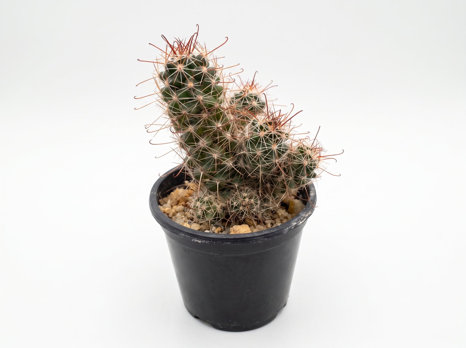 small fishhook pincushion mini 1 Small Fishhook Pincushion Mini - Image 1